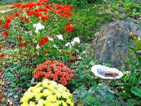 Birch Ridge Inn Киллингтон Экстерьер фото